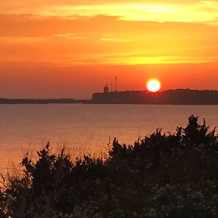 Conil, Descanso En La Dehesa Conil De La Frontera Exteriér fotografie